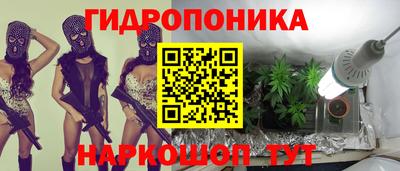 тгк Гусь-Хрустальный