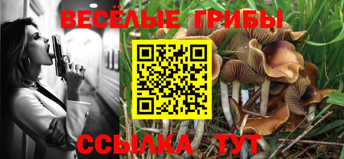 Ливны  Галлюциногенные грибы прущие грибы  наркота  Вход с VPN 